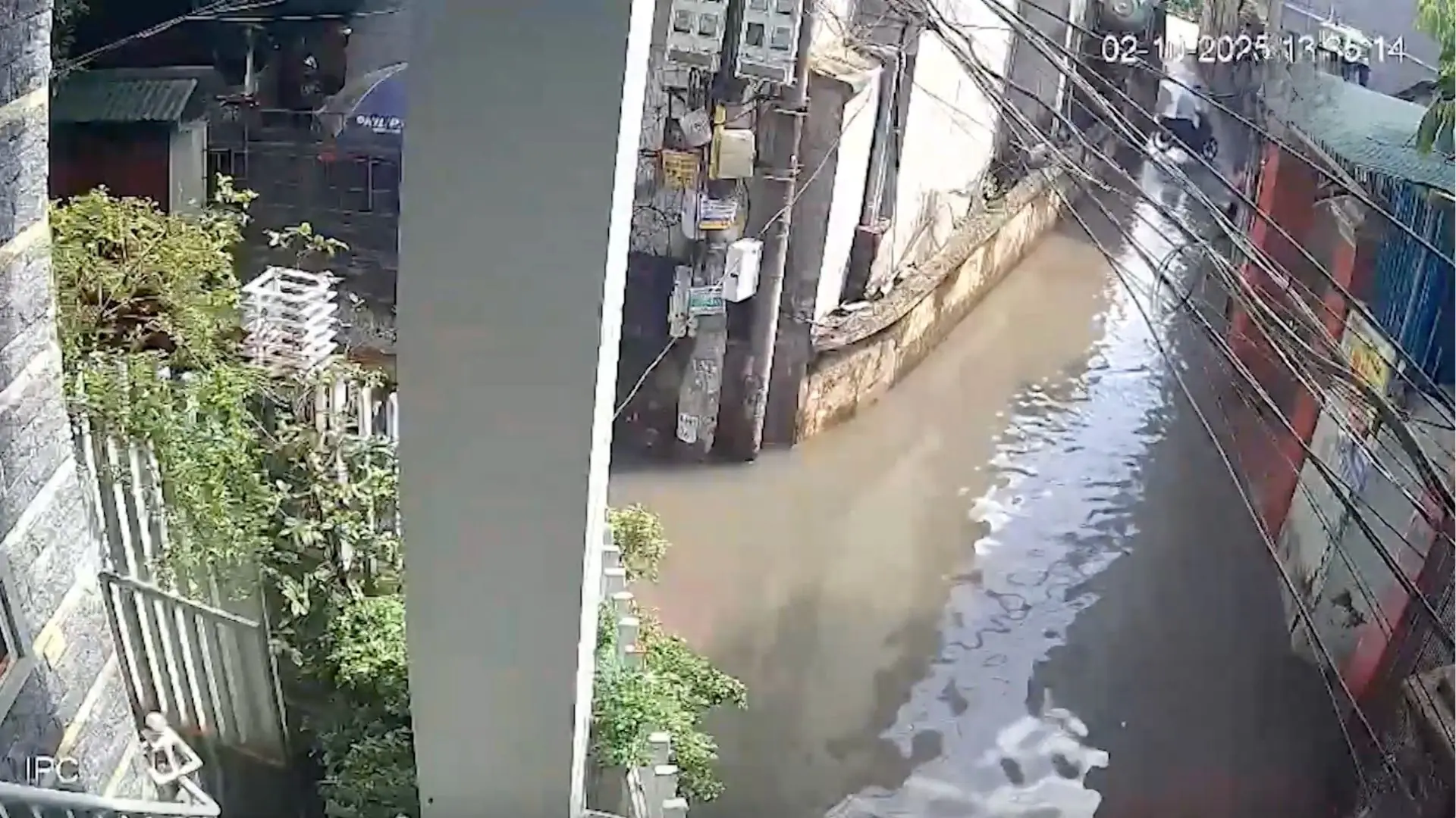 Không đánh đổi môi trường | Hộp thư truyền hình | 18/10/2025